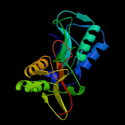 [ Structure tridimensionnelle de la protéine KP4 ]